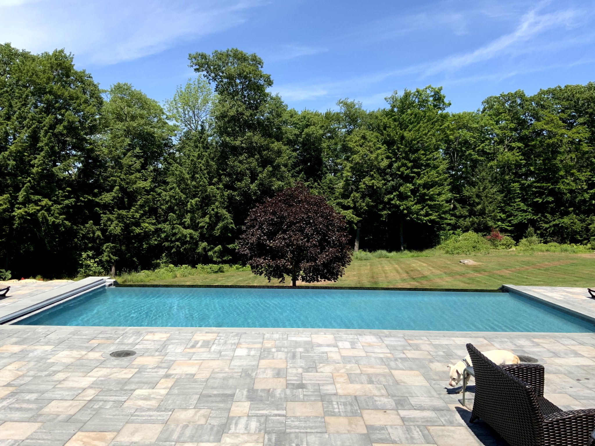 New Preston Swimming Pool Builder Concrete Pool construction, Vinyl